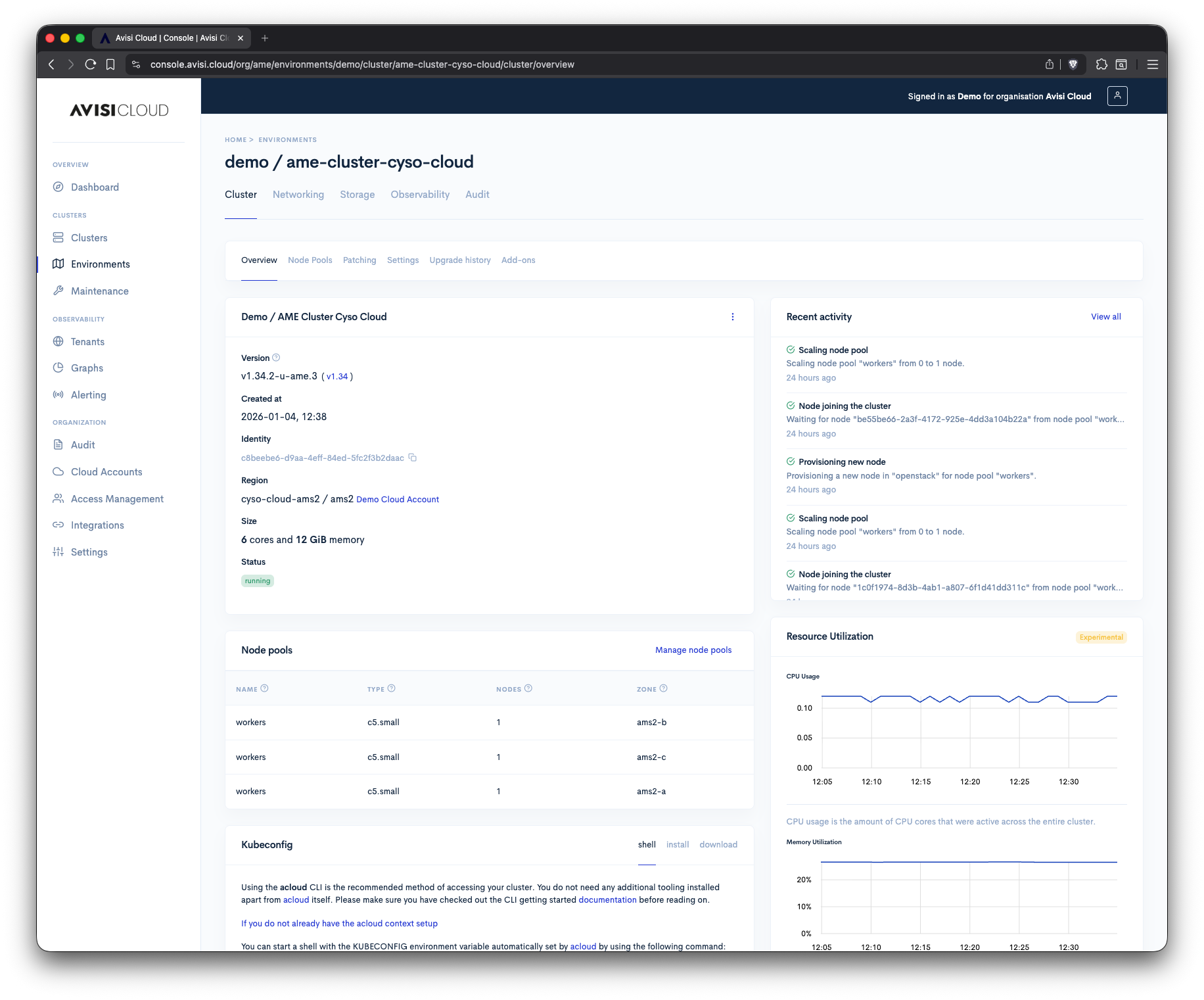 Schermafbeelding van het clusteroverzicht in de Avisi Cloud Console